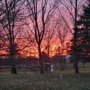 Meet your Posher, Kristine